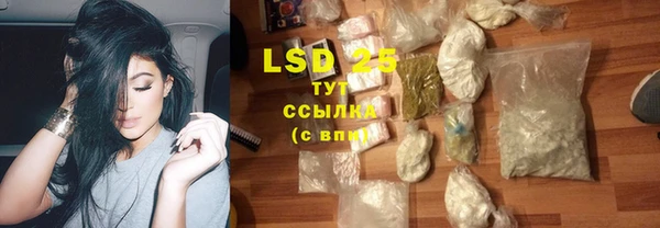 хмурый Алексин