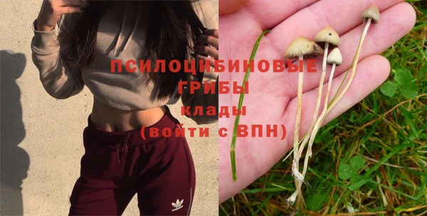 хмурый Алексеевка