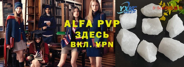 хмурый Алексин