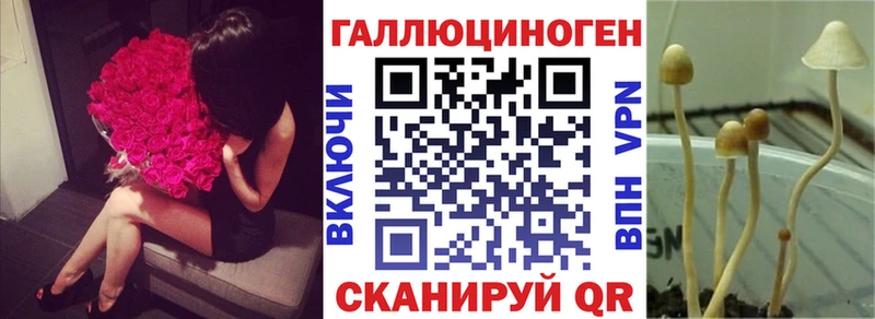 Галлюциногенные грибы Cubensis  Бикин 