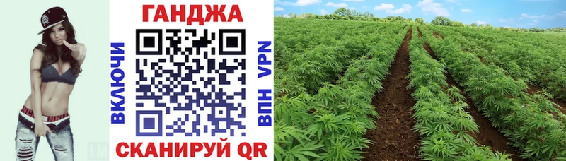 маркетплейс Telegram Бикин Канабис THC 21%